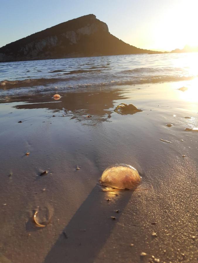 B&B Marina Olbia Zewnętrze zdjęcie