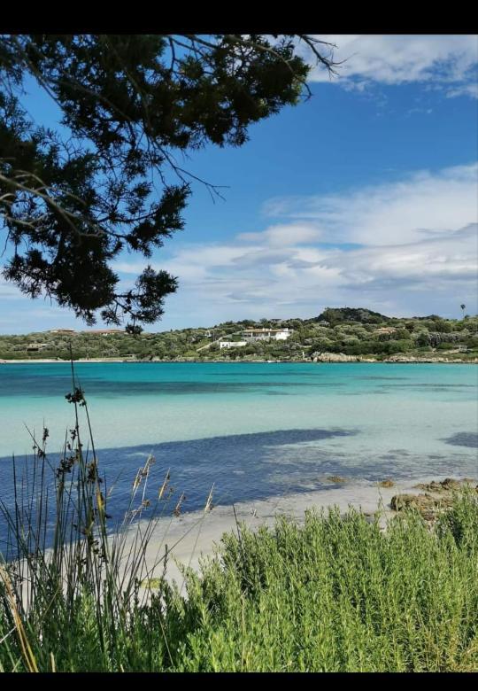 B&B Marina Olbia Zewnętrze zdjęcie